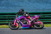 enduro-digital-images;event-digital-images;eventdigitalimages;mallory-park;mallory-park-photographs;mallory-park-trackday;mallory-park-trackday-photographs;no-limits-trackdays;peter-wileman-photography;racing-digital-images;trackday-digital-images;trackday-photos